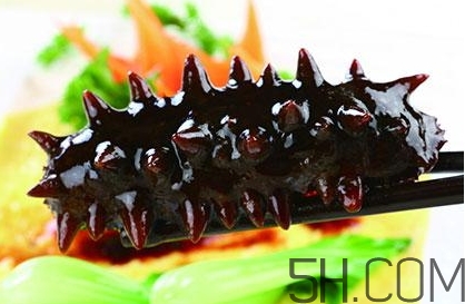 海參是高蛋白食物嗎？海參是素食嗎？