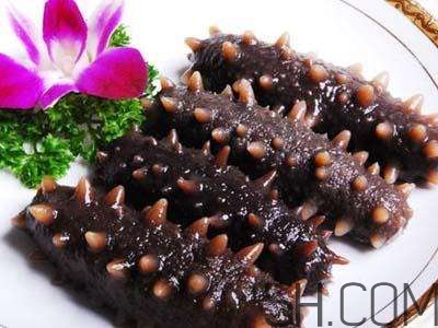 海參是高蛋白食物嗎？海參是素食嗎？