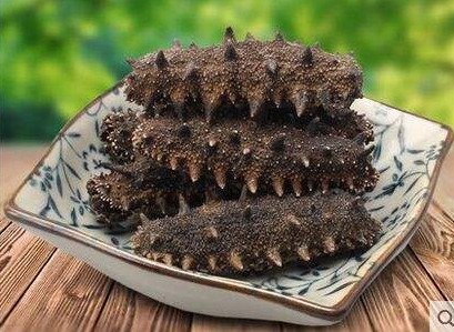 海參刺多好還是刺少好？海參沒有刺是怎么回事？