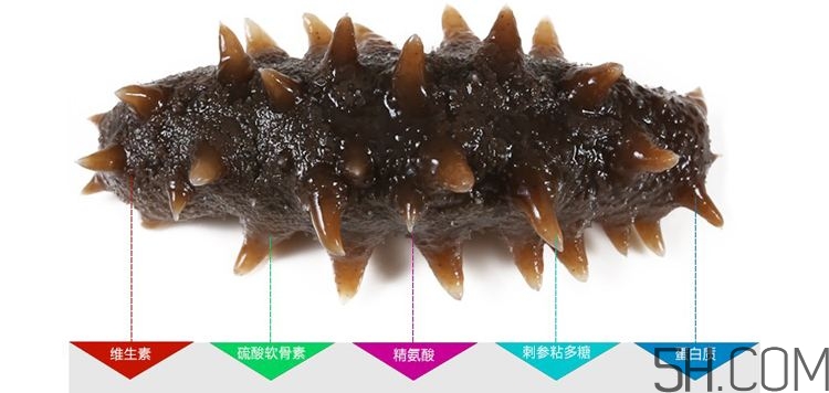 海參哪些部位不能吃？海參的禁忌人群