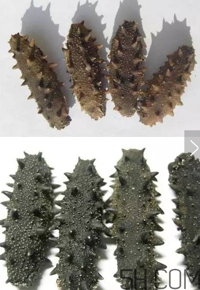 海參顏色深好還是淺好？海參顏色發(fā)白時怎么回事？