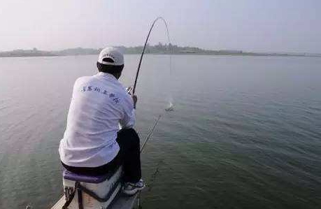 大蒜泡酒能釣魚嗎？大蒜泡酒釣魚的方法
