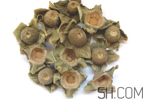 柿蒂治打嗝怎么煮水？柿蒂的功效與作用
