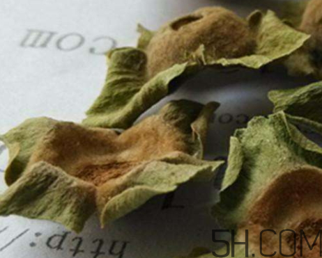 柿蒂治打嗝怎么煮水？柿蒂的功效與作用