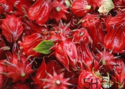 洛神果是什么？洛神果和洛神花區(qū)別