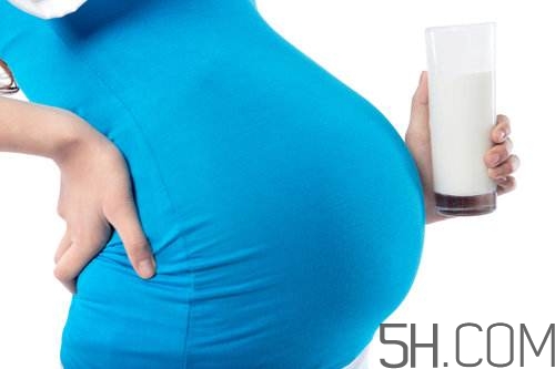 孕婦奶粉能加糖嗎？孕婦奶粉能不能加蜂蜜？