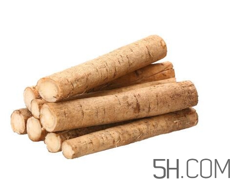 牛蒡是什么東西？牛蒡有什么功效？