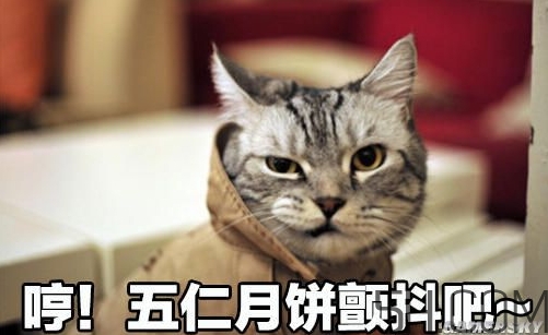 十仁月餅是哪十仁？十仁月餅好吃嗎