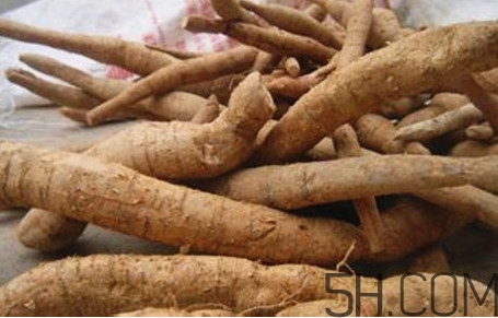牛蒡用去皮嗎？牛蒡茶什么時(shí)候喝最好