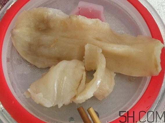 魚膠是魚泡嗎？魚膠是海鮮嗎