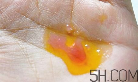 安娜柏林橙花蜜怎么用？安娜柏林橙花蜜使用方法