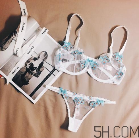 agent provocateur什么價(jià)位？agent provocateur內(nèi)衣價(jià)格