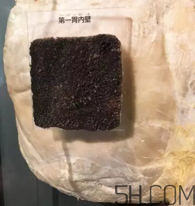 牛百葉和毛肚是一個東西嗎？牛百葉上面有層黑皮能吃嗎？