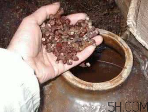 拐棗能泡酒嗎？拐棗能和蜂糖一起泡酒嗎？