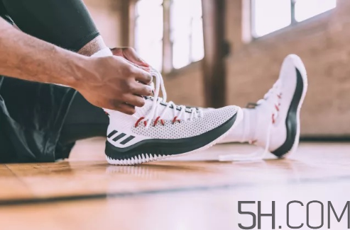 adidas dame 4多少錢？阿迪達(dá)斯利拉德四代上腳效果