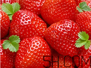 草莓都有哪些熱門品種？草莓怎么放不容易壞？