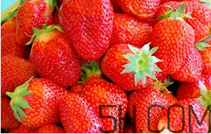 草莓都有哪些熱門品種？草莓怎么放不容易壞？