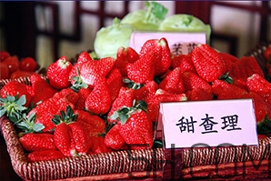 草莓都有哪些熱門品種？草莓怎么放不容易壞？