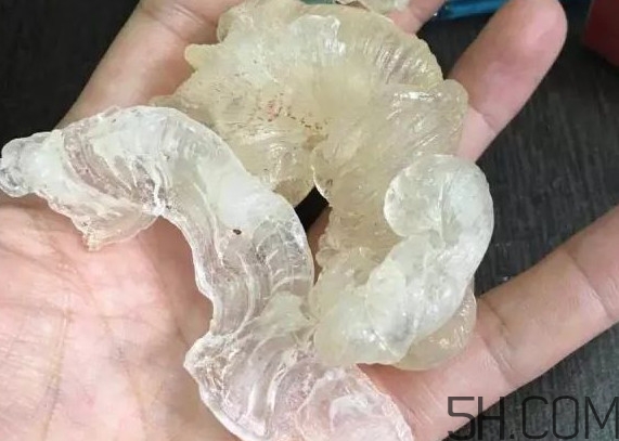 雪燕是燕窩嗎？雪燕是怎么形成的