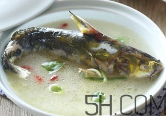 黃骨魚(yú)和鯽魚(yú)哪個(gè)好？黃骨魚(yú)和鯽魚(yú)的營(yíng)養(yǎng)價(jià)值