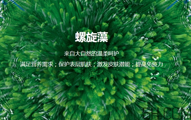 lantern蘭亭是什么牌子？蘭亭是哪個(gè)國(guó)家的什么檔次