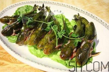 黃骨魚(yú)和鯽魚(yú)哪個(gè)好？黃骨魚(yú)和鯽魚(yú)的營(yíng)養(yǎng)價(jià)值