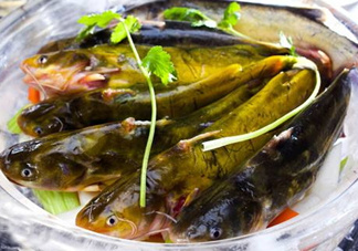 黃骨魚是發(fā)物嗎？黃骨魚是什么魚？