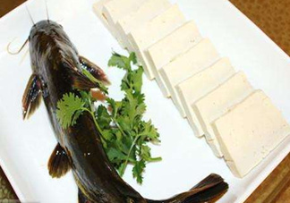 黃骨魚有刺嗎？黃骨魚有毒嗎？