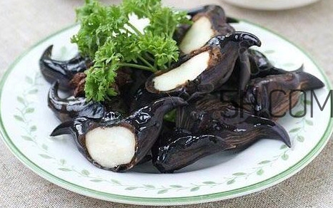 菱角好吃嗎？菱角長在什么地方
