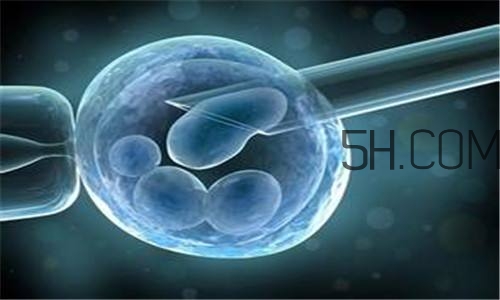 人工授精取卵子怎么取？人工授精男人怎樣取精？