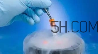 試管嬰兒有什么風險？試管嬰兒長大后的弊端