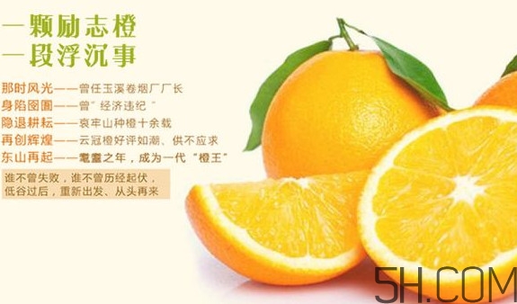 褚橙多少錢一斤？褚橙為什么這么貴