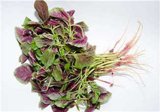 莧菜是酸性還是堿性？吃莧菜有什么好處？