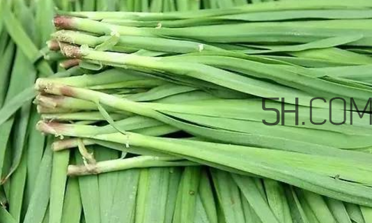 生蠔和韭菜一起吃有什么好處？吃韭菜的好處