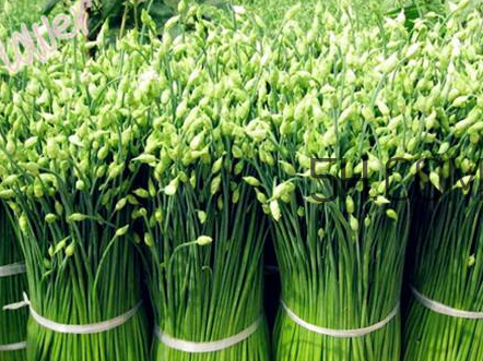 來(lái)月經(jīng)可以吃韭菜嗎？韭菜花的腌制方法