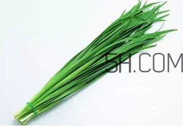立秋后可以種韭菜嗎？怎樣種韭菜？