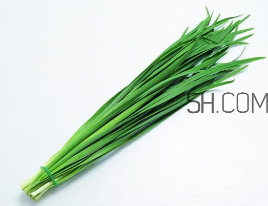 秋天吃韭菜好嗎？韭菜和莧菜能一起吃嗎？