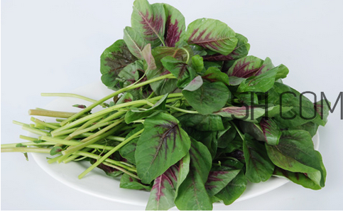 莧菜為什么是紅的？莧菜是涼性的嗎？
