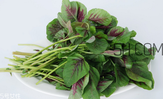 上火能吃咸莧菜嗎？寶寶能吃莧菜嗎？