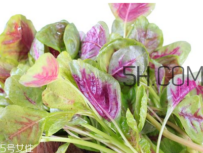 上火能吃咸莧菜嗎？寶寶能吃莧菜嗎？