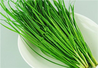 立秋后可以種韭菜嗎？怎樣種韭菜？