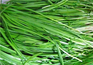 秋天吃韭菜好嗎？韭菜和莧菜能一起吃嗎？