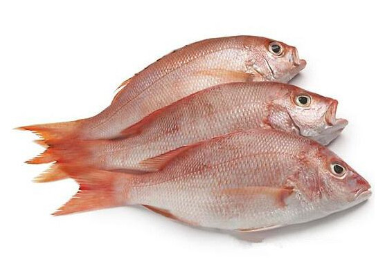 鯛魚多少錢一斤？鯛魚魚骨有什么營(yíng)養(yǎng)價(jià)值