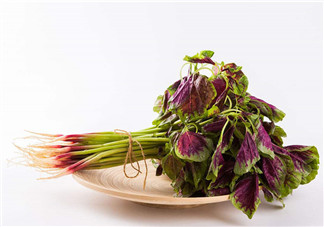 莧菜為什么是紅的？莧菜是涼性的嗎？