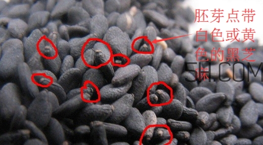 黑芝麻清洗掉色正常嗎？黑芝麻有黑色素嗎？