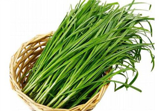 韭菜種植條件有哪些？韭黃和韭菜的區(qū)別