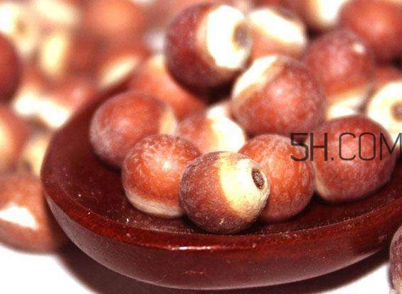 芡實(shí)營(yíng)養(yǎng)價(jià)值有哪些？芡實(shí)哪里的最好