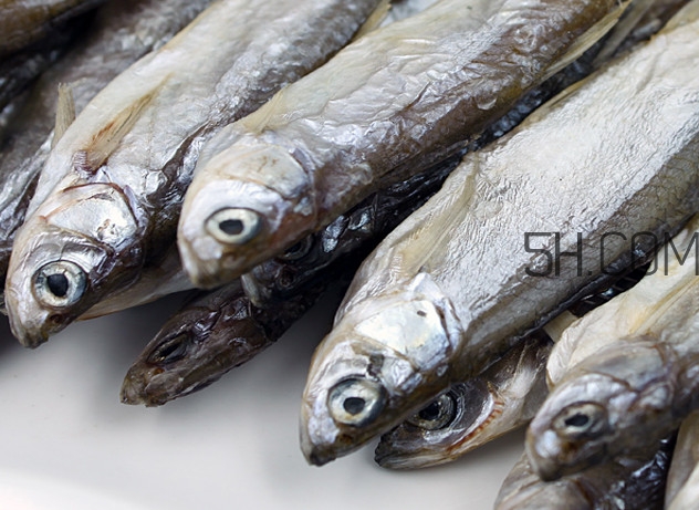 刁子魚是淡水魚嗎？刁子魚怎么釣