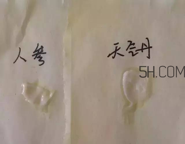 雪花秀人參面霜和whoo后天氣丹面霜哪個(gè)好?