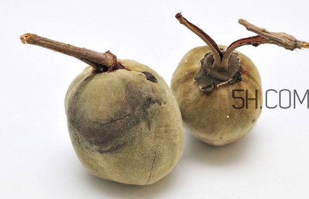 猴面包樹(shù)果實(shí)好吃嗎？猴面包樹(shù)果實(shí)怎么吃